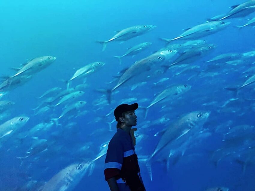 【避暑景點推薦】全台避暑勝地、夏日避暑親子景點一日遊,跟著玩準沒錯! 【避暑景點推薦】全台避暑勝地、夏日避暑親子景點一日遊,跟著玩準沒錯!