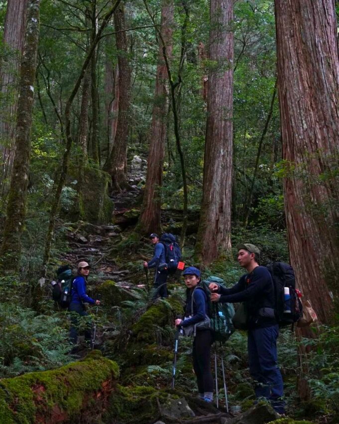 大霸尖山 大霸尖山