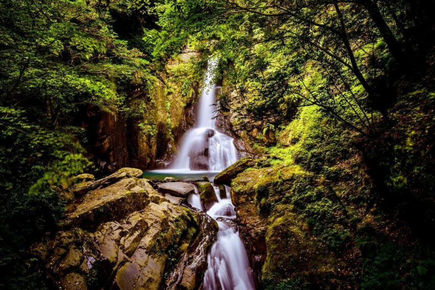 大鹿林道東線 大鹿林道東線