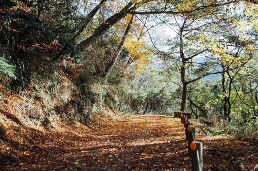 大鹿林道東線 大鹿林道東線