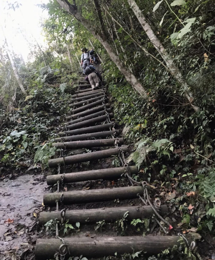 霞喀羅古道｜台灣最美的「國家級步道」春粉櫻、夏林相、秋冬楓葉紅，最讓人放鬆身心的秘境古道