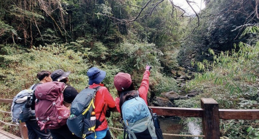 霞喀羅古道｜台灣最美的「國家級步道」春粉櫻、夏林相、秋冬楓葉紅，最讓人放鬆身心的秘境古道