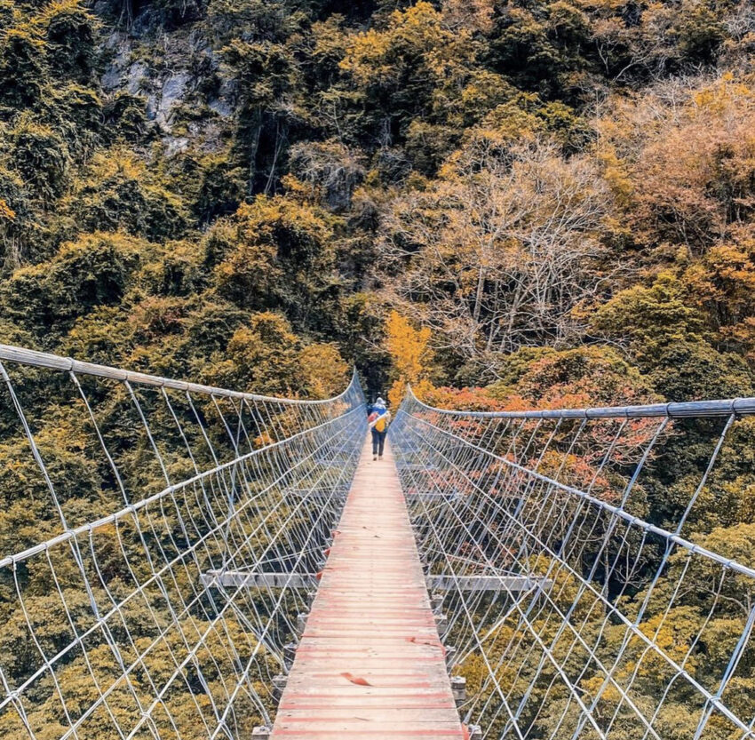 霞喀羅古道｜台灣最美的「國家級步道」春粉櫻、夏林相、秋冬楓葉紅，最讓人放鬆身心的秘境古道