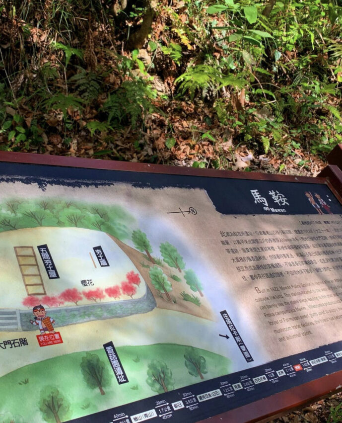 霞喀羅古道｜台灣最美的「國家級步道」春粉櫻、夏林相、秋冬楓葉紅，最讓人放鬆身心的秘境古道