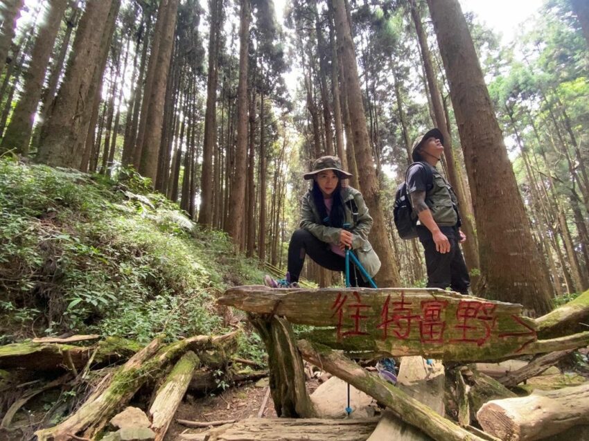 【特富野古道】嘉義特富野天氣、交通、景點路線攻略指南