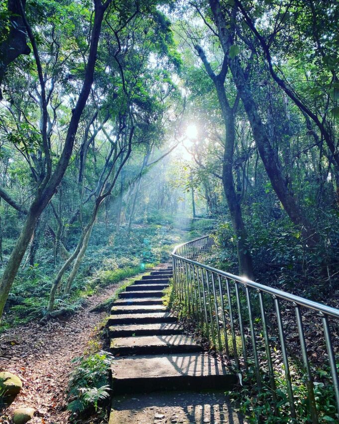 彰化登山步道｜在山中深呼吸！7條彰化絕美登山步道總整理
