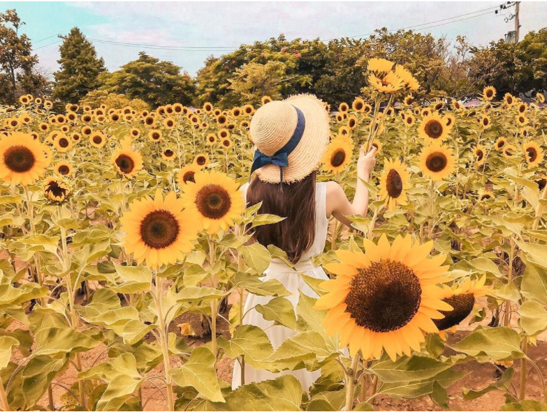 【桃園景點推薦】精選60個桃園一日遊景點,8條必玩路線攻略! 【桃園景點推薦】精選60個桃園一日遊景點,8條必玩路線攻略!