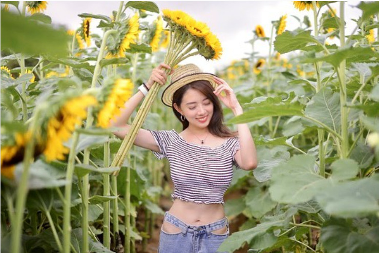 【桃園景點推薦】精選60個桃園一日遊景點,8條必玩路線攻略! 【桃園景點推薦】精選60個桃園一日遊景點,8條必玩路線攻略!