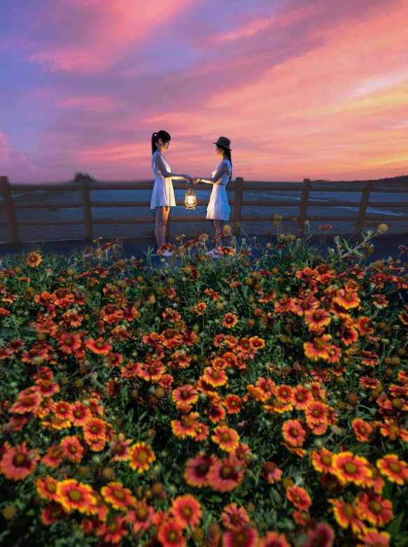 中秋賞月景點｜精選全台12個賞月圓、看夜景、觀銀河的好去處