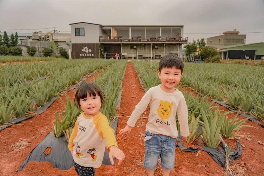 嘉義伴手禮推薦｜10家嘉義名產老店、創新人氣特產名單這裡看