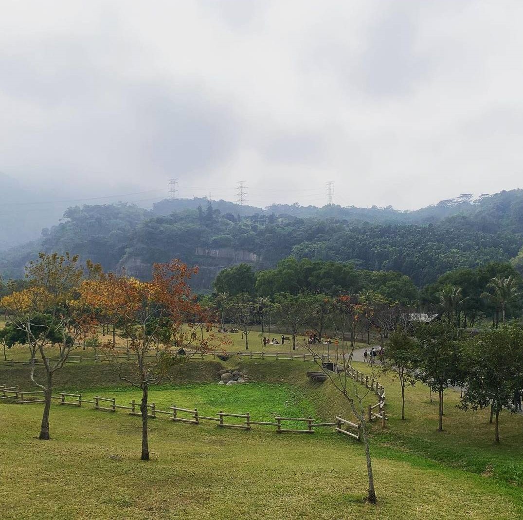 牛埔仔旺萊山愛情大草原|阿里山免費浪漫約會景點、鳳梨酥伴手禮、舒適大草原美拍 牛埔仔旺萊山愛情大草原|阿里山免費浪漫約會景點、鳳梨酥伴手禮、舒適大草原美拍