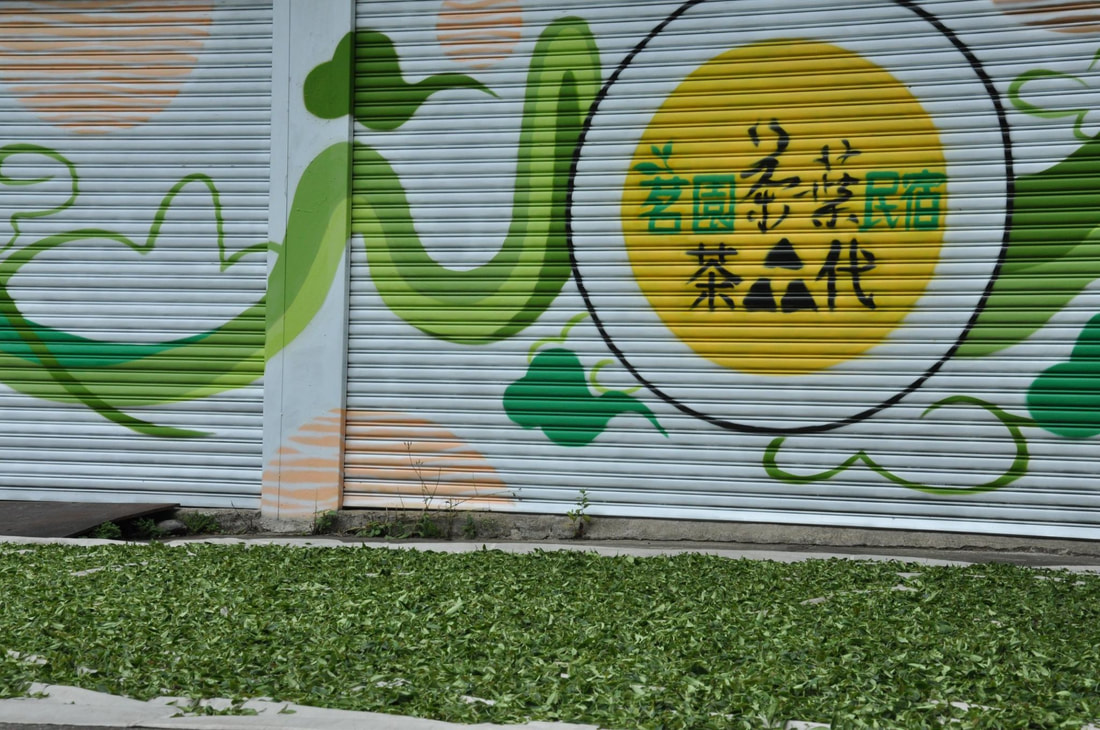 茗園茶葉民宿｜茗園茶叄代體驗採茶樂趣，阿里山瑞里民宿擁抱大自然、品嘗高山烏龍茶