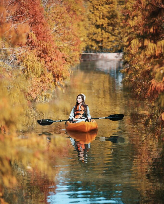 全台落羽松景點|網羅台灣落羽松秘境/落羽松大道、秋冬賞季期懶人包,快來一場唯美浪漫之旅吧! 全台落羽松景點|網羅台灣落羽松秘境/落羽松大道、秋冬賞季期懶人包,快來一場唯美浪漫之旅吧!