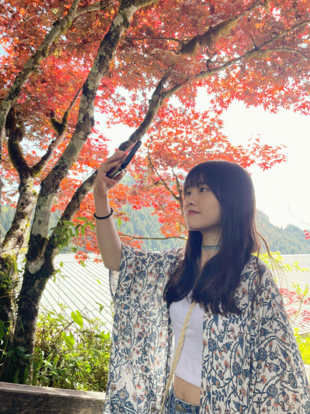 台灣賞楓景點|全台10大熱門賞楓葉好去處、賞楓季節大公開,秋天賞楓秘境就看這一篇 台灣賞楓景點|全台10大熱門賞楓葉好去處、賞楓季節大公開,秋天賞楓秘境就看這一篇