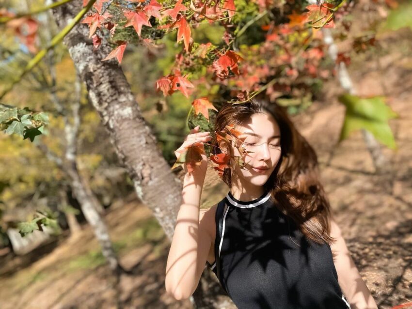 台灣賞楓景點|全台10大熱門賞楓葉好去處、賞楓季節大公開,秋天賞楓秘境就看這一篇 台灣賞楓景點|全台10大熱門賞楓葉好去處、賞楓季節大公開,秋天賞楓秘境就看這一篇