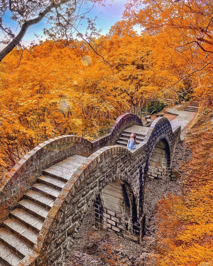 台灣賞楓景點|全台10大熱門賞楓葉好去處、賞楓季節大公開,秋天賞楓秘境就看這一篇 楓葉台灣賞楓景點|全台10大熱門賞楓葉好去處、賞楓季節大公開,秋天賞楓秘境就看這一篇