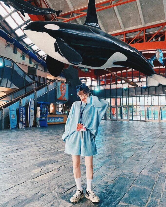 【屏東海生館全攻略】海生館門票/節目表/夜宿海生館/企鵝體驗，帶你暢遊海洋世界！