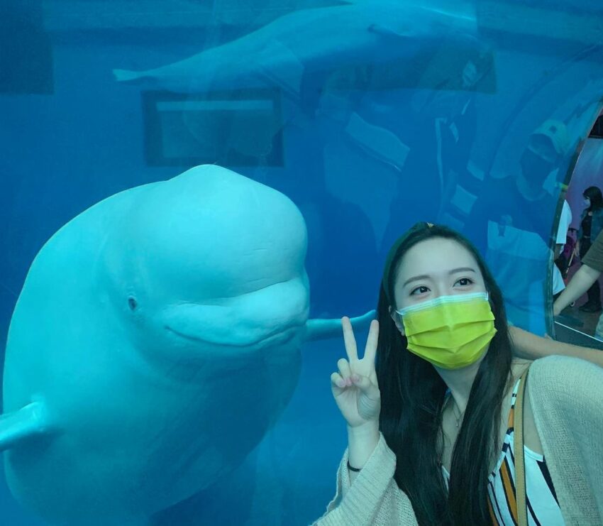 【屏東海生館全攻略】海生館門票/節目表/夜宿海生館/企鵝體驗，帶你暢遊海洋世界！