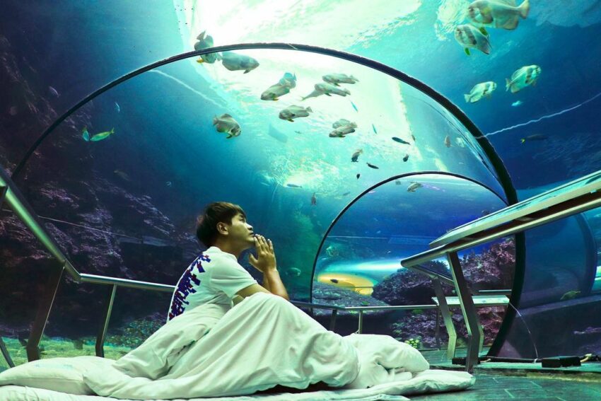 【屏東海生館全攻略】海生館門票/節目表/夜宿海生館/企鵝體驗，帶你暢遊海洋世界！