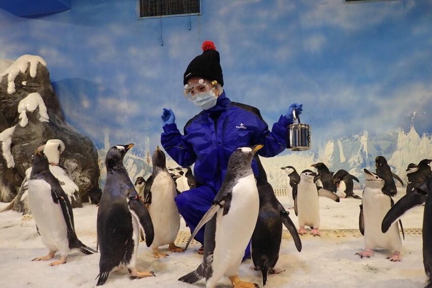 【屏東海生館全攻略】海生館門票/節目表/夜宿海生館/企鵝體驗，帶你暢遊海洋世界！