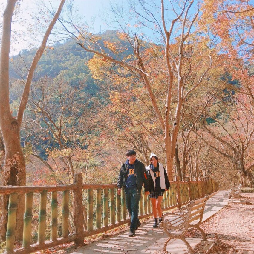 台灣賞楓景點|全台10大熱門賞楓葉好去處、賞楓季節大公開,秋天賞楓秘境就看這一篇 台灣賞楓景點|全台10大熱門賞楓葉好去處、賞楓季節大公開,秋天賞楓秘境就看這一篇