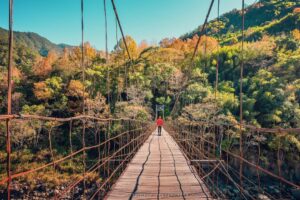 【賞楓景點推薦】精選10大熱門台灣楓葉景點好去處，秋天賞楓秘境、賞楓時間就看這一篇