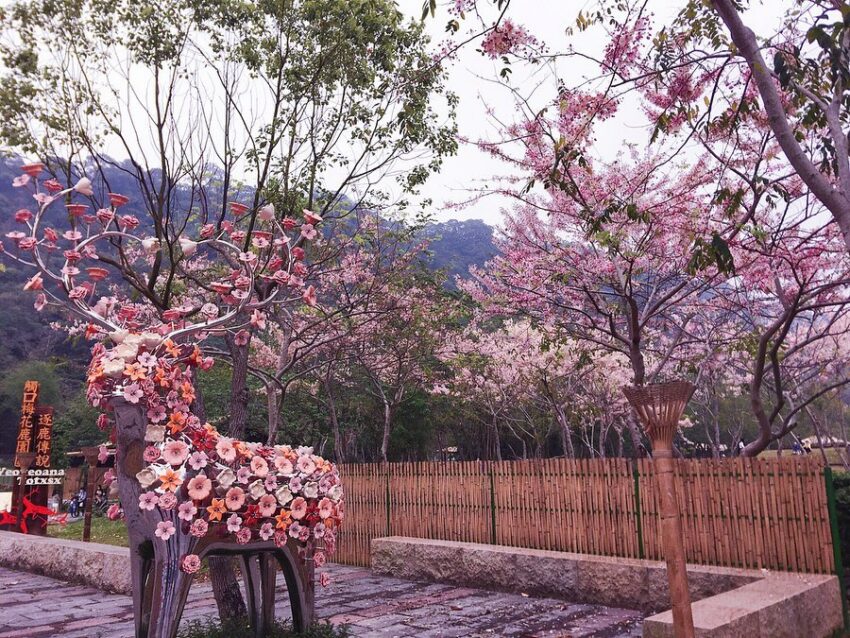 阿里山逐鹿部落梅花鹿園一日遊、門票優惠，到鄒族藝術村體驗餵小鹿、竹木射箭、享用風味美食