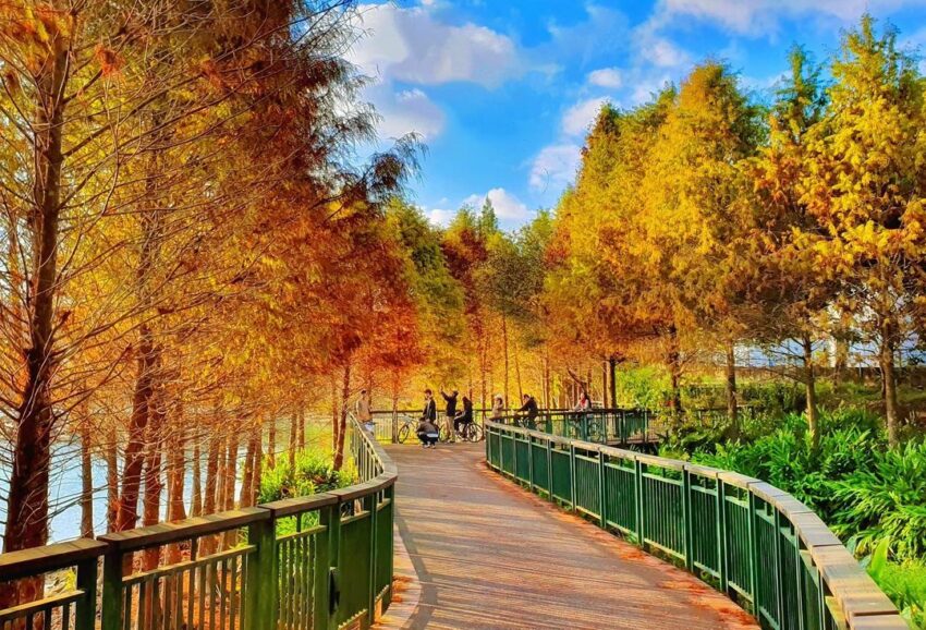 單車路線 全台單車自行車道|精選全台10條單車路線,挑一條腳踏車步道路線放進你的秋遊懶人包! 5 2026