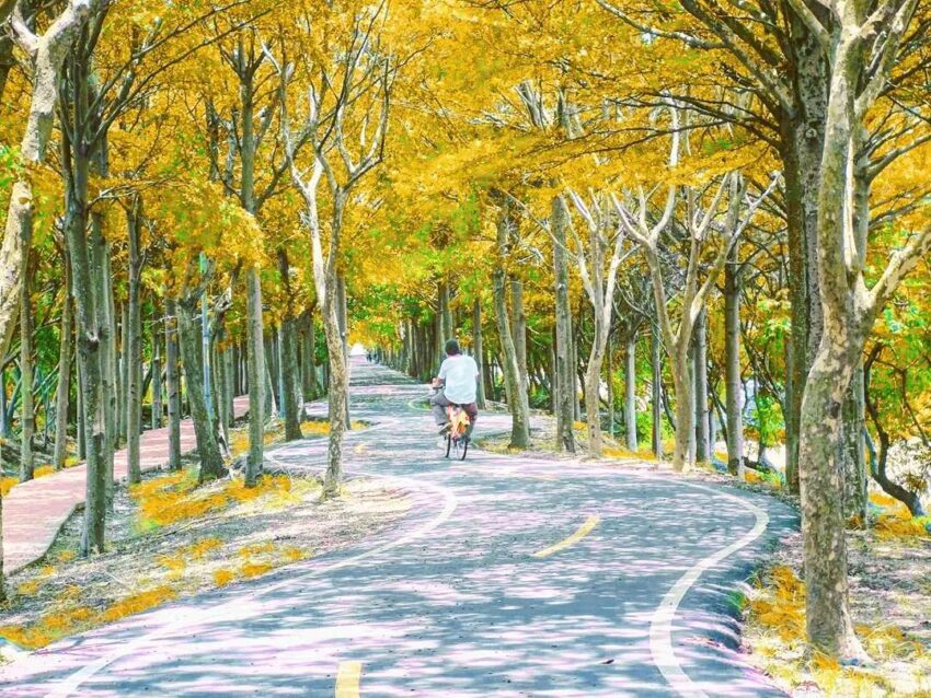 單車路線 全台單車自行車道|精選全台10條單車路線,挑一條腳踏車步道路線放進你的秋遊懶人包! 2 2026