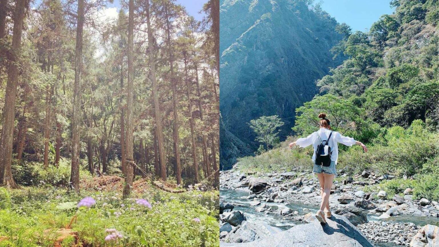 惠蓀實驗林場｜親子旅遊享受森林浴的時光，步道路線推薦｜惠蓀林場一日遊行程、門票、住宿