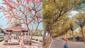 【潮州景點】推薦潮州一日遊必玩景點，戶外親子景點、網美打卡景點一網打盡！