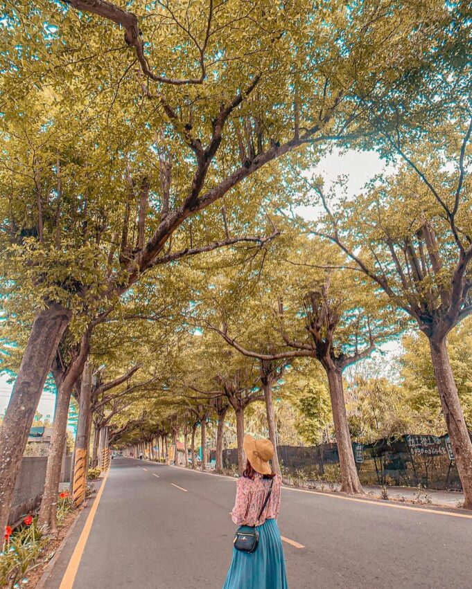 【潮州景點】推薦潮州一日遊必玩景點，戶外親子景點、網美打卡景點一網打盡！