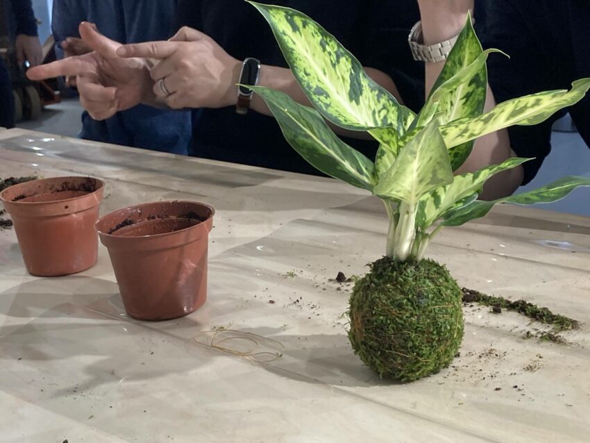 【台北親子景點推薦】13個超夯遛小孩放電好去處!特色公園/親子餐廳/樂園博物館/DIY體驗通通有! 【台北親子景點推薦】13個超夯遛小孩放電好去處!特色公園/親子餐廳/樂園博物館/DIY體驗通通有!