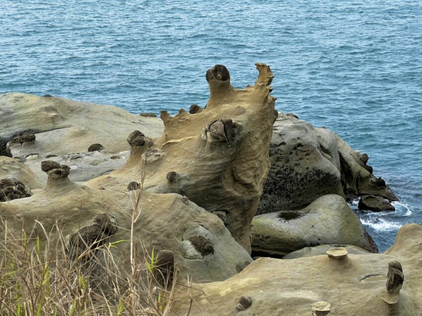 和平島公園 2026基隆和平島公園,世界級秘境怎麼玩?一日遊導覽、親子玩水、手作體驗、門票預約等基隆景點懶人包 2 2026