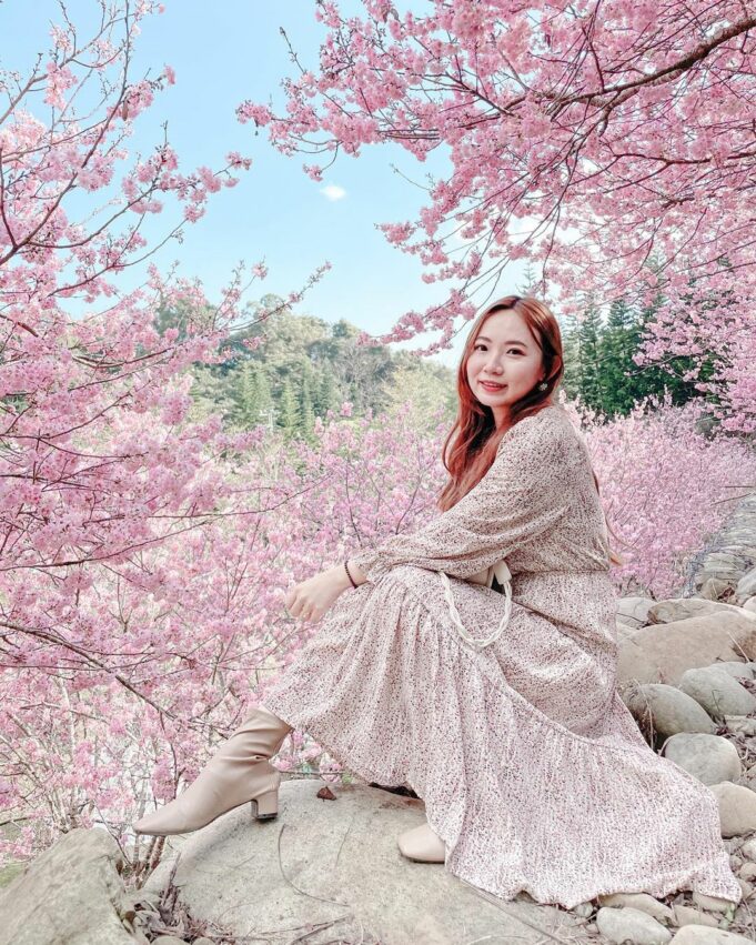 【台中賞櫻景點】推薦9個台中櫻花秘境、櫻花勝地，春天旅遊這樣玩！