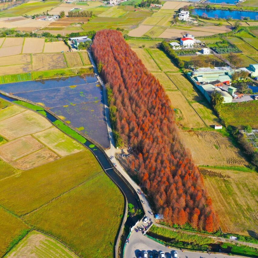馬祖新村|桃園免門票眷村文化園區,網美、文青打卡景點《交通、美食、特色懶人包》 馬祖新村|桃園免門票眷村文化園區,網美、文青打卡景點《交通、美食、特色懶人包》