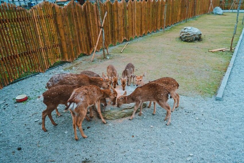 【花蓮景點推薦】精選30+花蓮景點！花蓮一日遊這樣玩，輕鬆安排花蓮旅遊