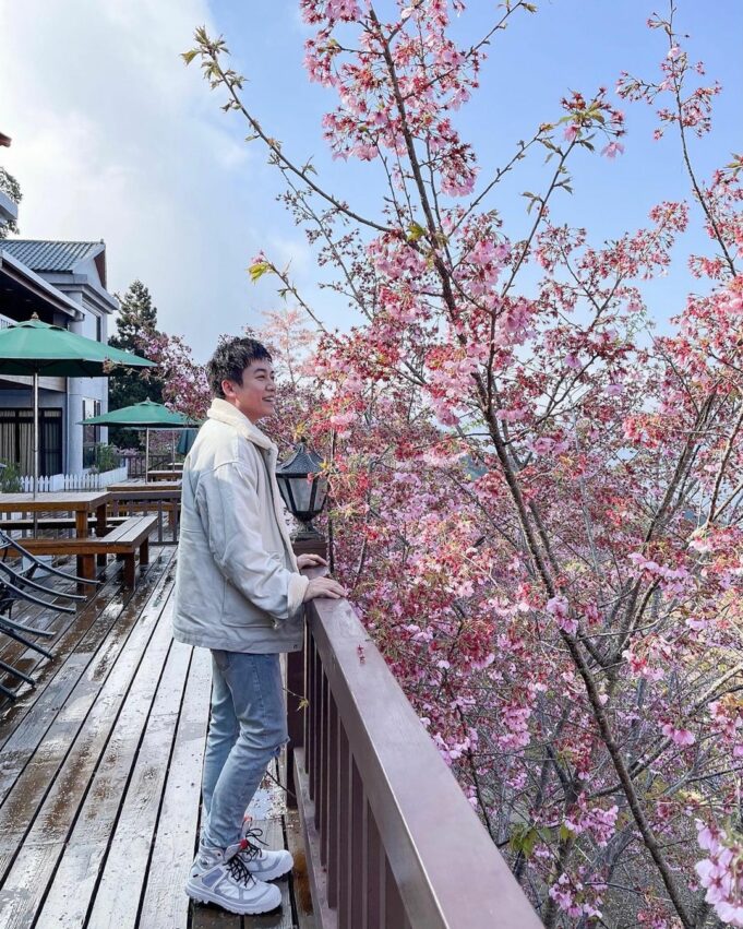 恩愛農場|拉拉山櫻花季盛開中!最新花況、賞花景點、交通住宿一次看 恩愛農場|拉拉山櫻花季盛開中!最新花況、賞花景點、交通住宿一次看