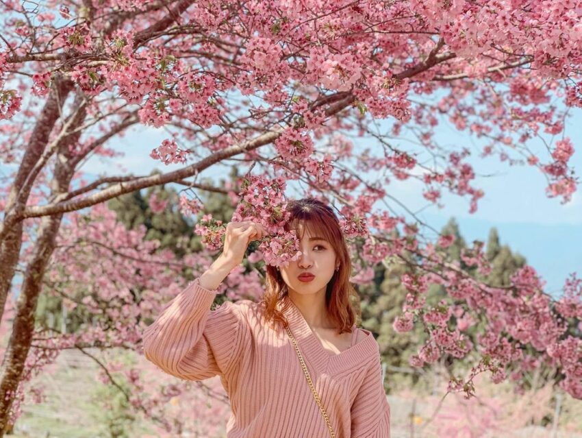 恩愛農場|拉拉山櫻花季盛開中!最新花況、賞花景點、交通住宿一次看 恩愛農場|拉拉山櫻花季盛開中!最新花況、賞花景點、交通住宿一次看