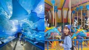 【花蓮遠雄海洋公園】門票優惠，最新活動/美人魚實境秀/夜宿水族館/住宿推薦