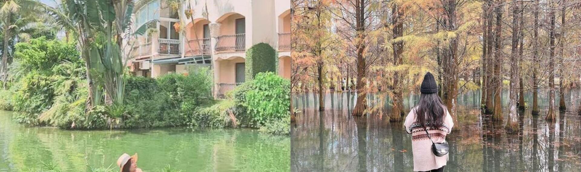 【花蓮壽豐景點推薦】精選花蓮落羽松、壽豐必去景點美食，踏青環湖摸蜆趣、落羽松秘境