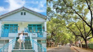 中興新村一日遊｜懷舊省府巡禮，5大打卡景點＆必吃美食推薦