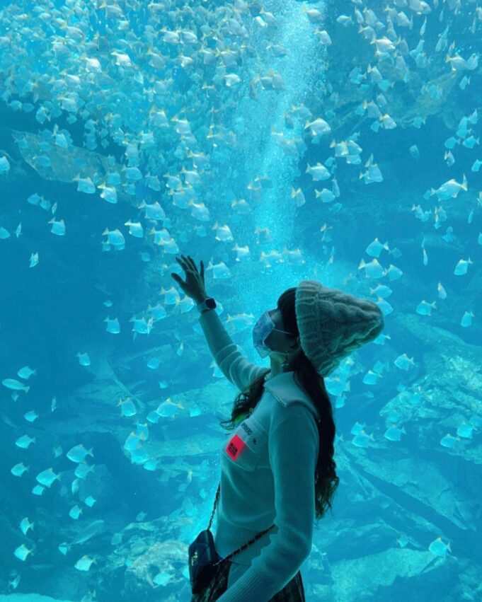 【桃園景點推薦】精選60個桃園一日遊景點,8條必玩路線攻略! 【桃園景點推薦】精選60個桃園一日遊景點,8條必玩路線攻略!