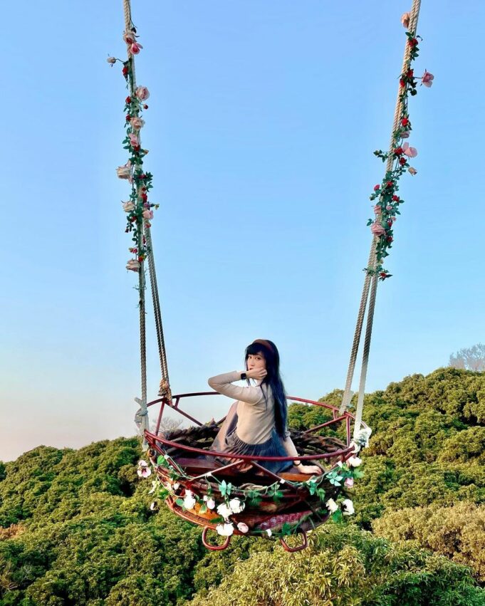 員林景點推薦|探索14處超好拍員林秘境,蜀葵花海、桐花步道、夢幻夜景、純白教堂 員林 員林景點 員林美食 雲河星空景觀餐廳