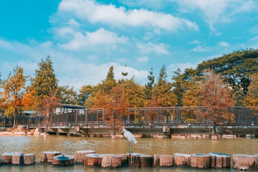 【左營景點】推薦左營一日遊必去的10個左營景點、必吃美食