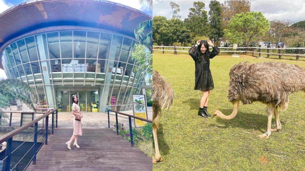 【台東原生應用植物園】親子牧場餵羊、空中景觀步道賞美景《門票收費、汆燙火鍋推薦、交通方式、紀念品採買》