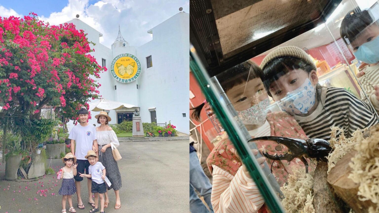 埔里木生昆蟲博物館｜蝴蝶小鎮生態休閒園區｜園區導覽解說、世界珍藏標本、DIY體驗