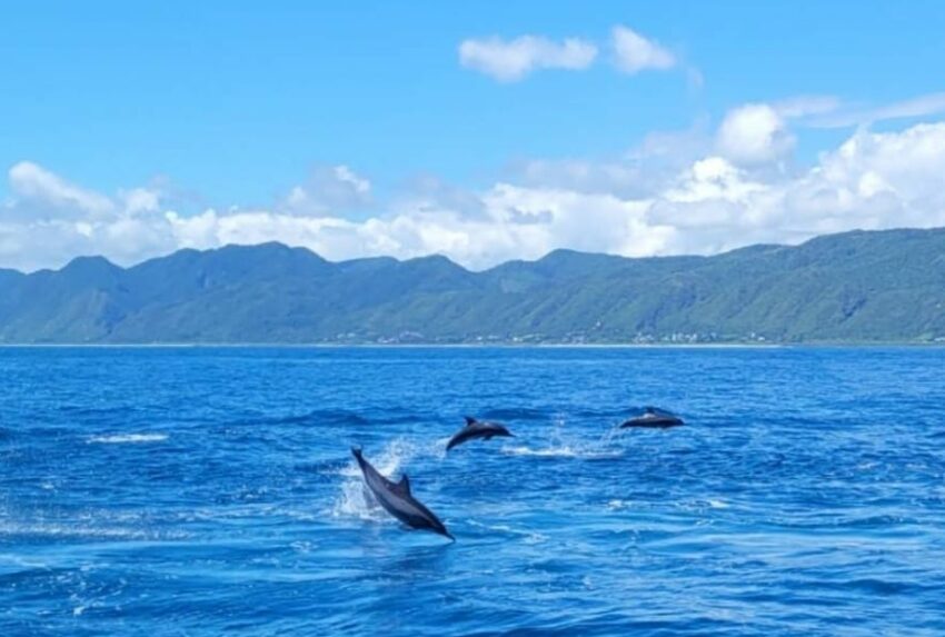 【花蓮景點推薦】精選30+花蓮景點！花蓮一日遊這樣玩，輕鬆安排花蓮旅遊