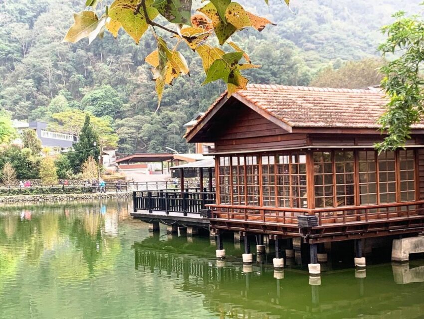 漫遊集集線｜水里自行車道，車埕貯木池在水池旁修建完善的環湖步道，步道旁栽種著樟樹、落羽松等樹木，豐富乾淨的自然生態，同時吸引了不少水鳥和小動物在此棲息。