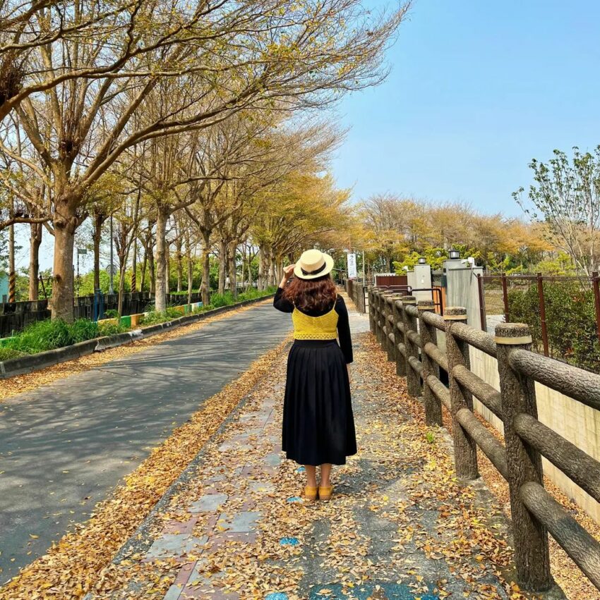 集集線騎行之旅｜3條漫遊集集線自行車道攻略，一起單車旅遊吧｜二水＆水里＆綠色隧道